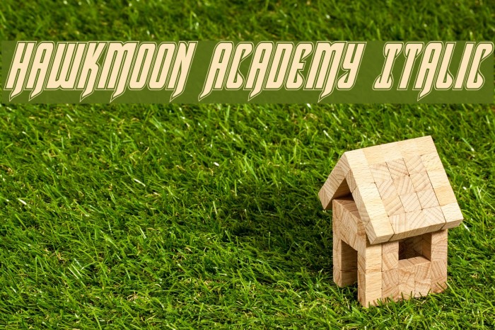 Hawkmoon Academy Italic Font examples