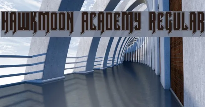 Hawkmoon Academy Regular Example 2