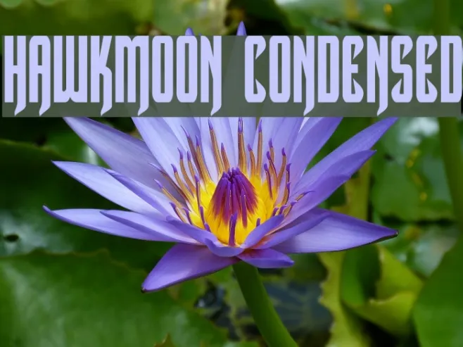 Hawkmoon Condensed Example 1