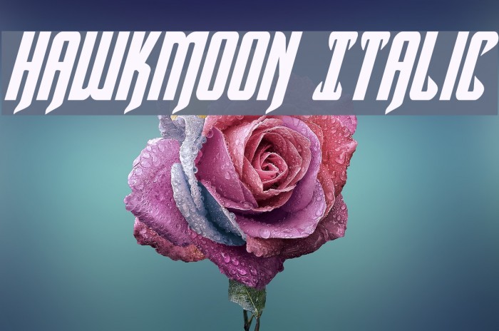 Hawkmoon Italic Font examples