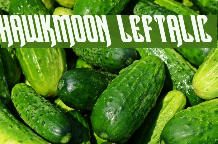 Hawkmoon Leftalic Font examples