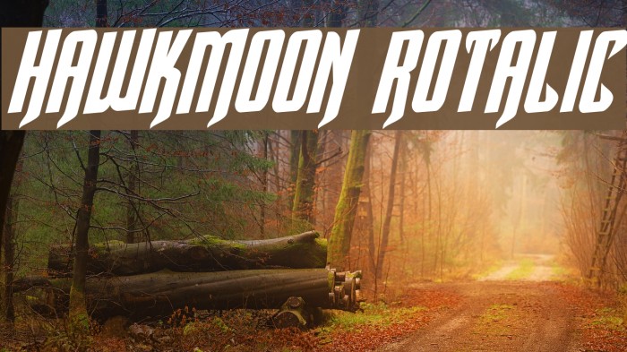 Hawkmoon Rotalic Font examples