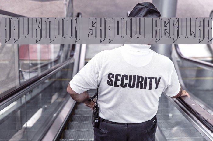 Hawkmoon Shadow Regular Example 2