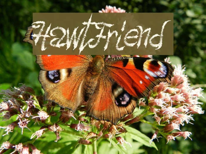 HawtFriend Font examples