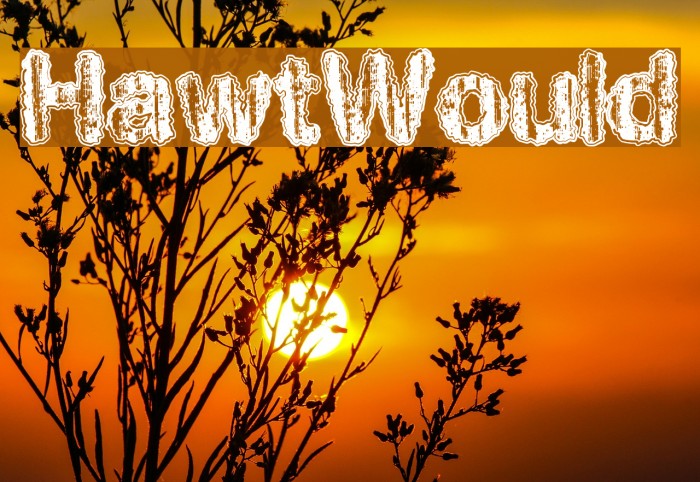 HawtWould Font examples