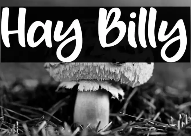 Hay Billy Font examples