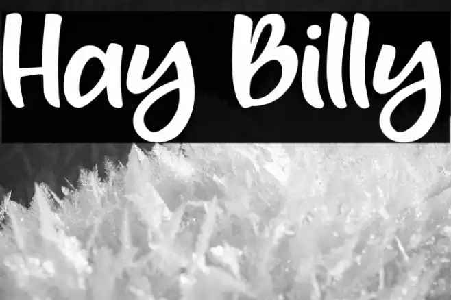 Hay Billy Font examples