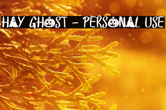 Hay Ghost - Personal Use Example 2
