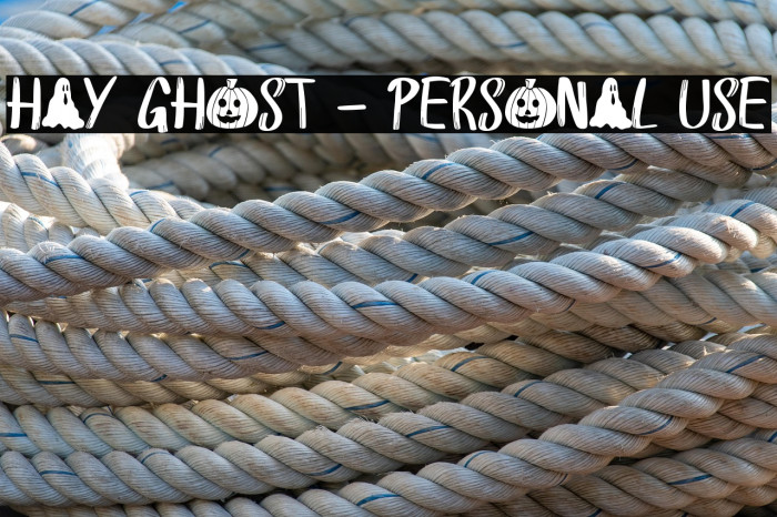 Hay Ghost - Personal Use Example 3