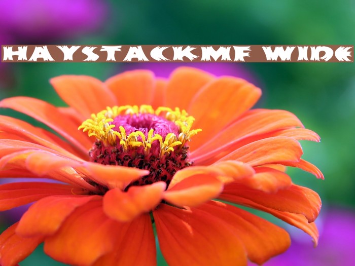 HayStackMF Wide Font examples