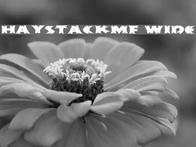 HayStackMF Wide Font examples