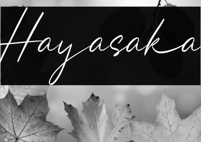 Hayasaka Font examples