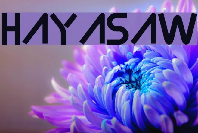 Hayasaw Example 1