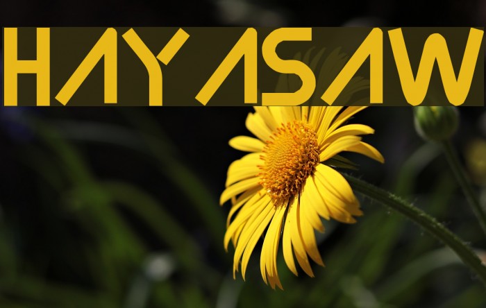 Hayasaw Font examples