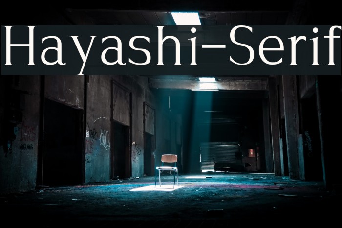 Hayashi-Serif Font examples