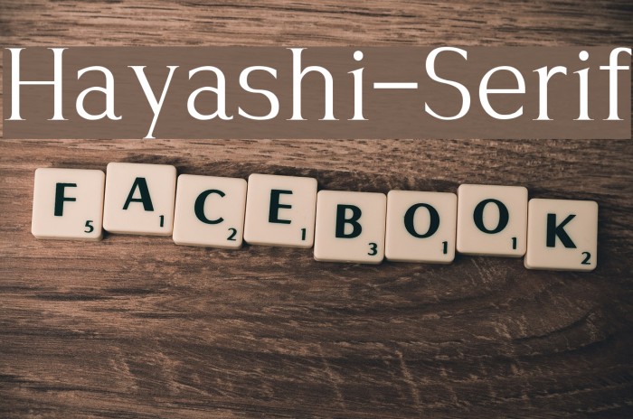 Hayashi-Serif Font examples