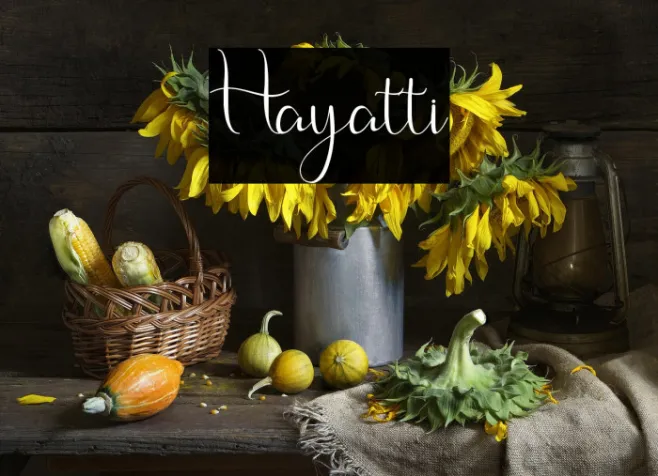 Hayatti Example 2