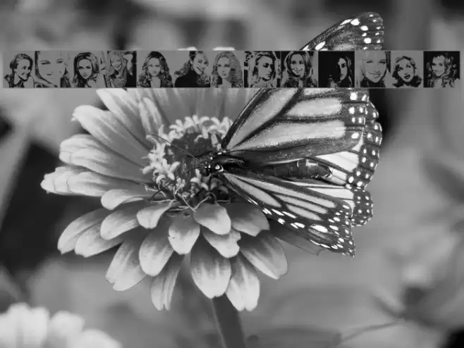 HaydenPanettiereBats demov1.5 Font examples