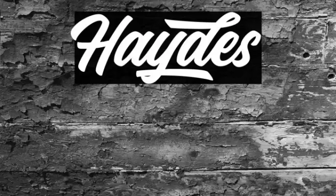 Haydes Font examples