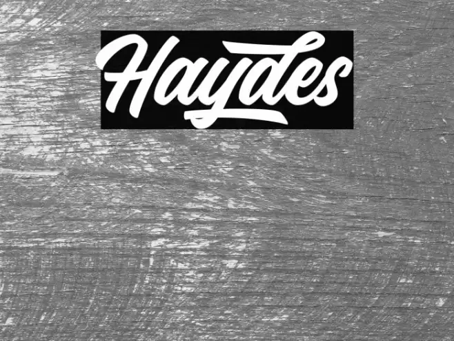 Haydes Font examples