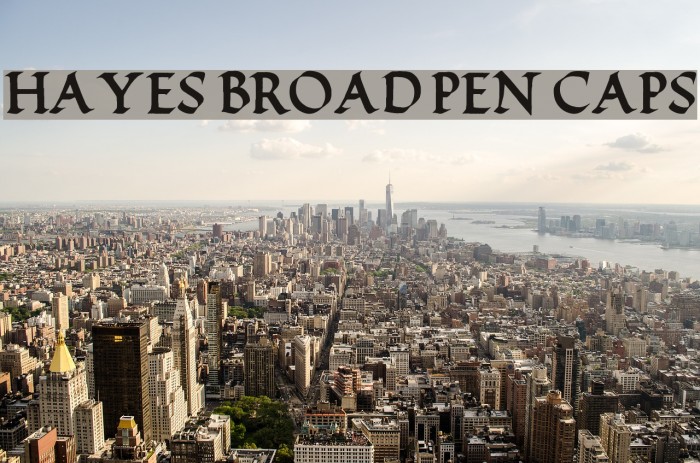 Hayes Broad Pen Caps Example 2