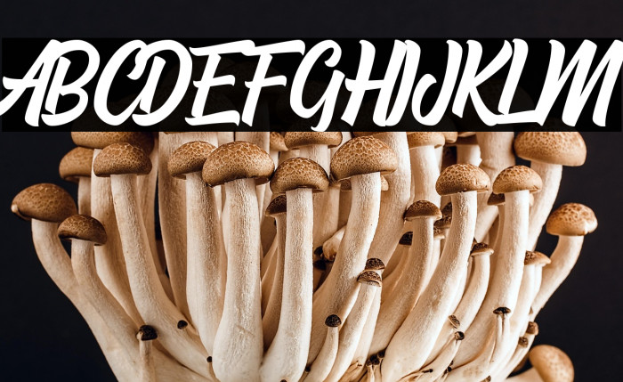 Hayhills Demo Example 1