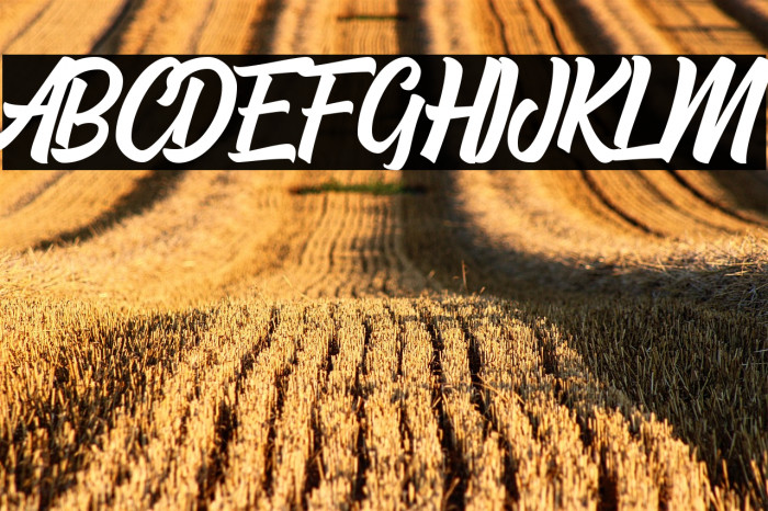 Hayhills Demo Example 2