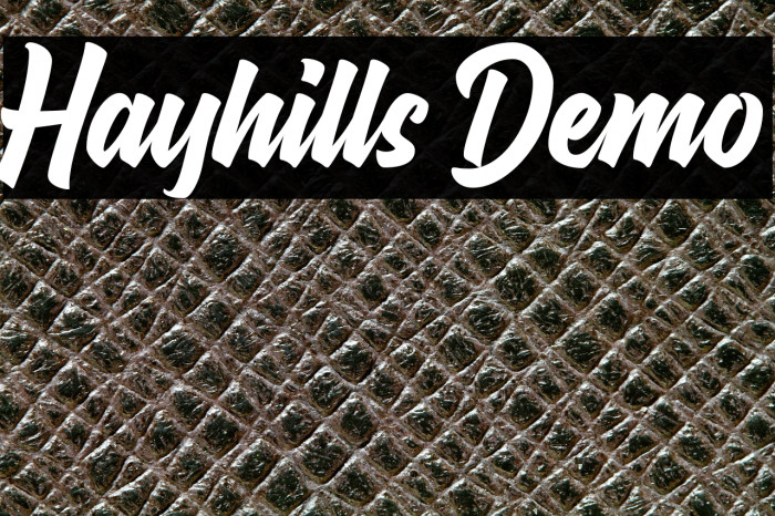 Hayhills Demo Example 2