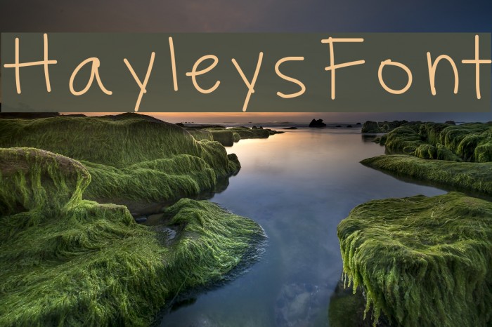 HayleysFont Font examples