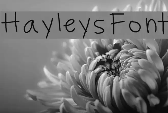 HayleysFont Font examples