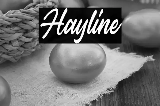 Hayline Font examples