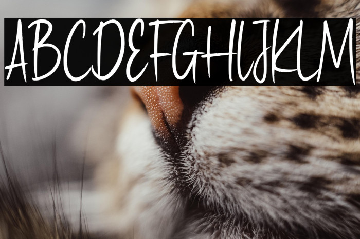 Haypearl Demo Example 2