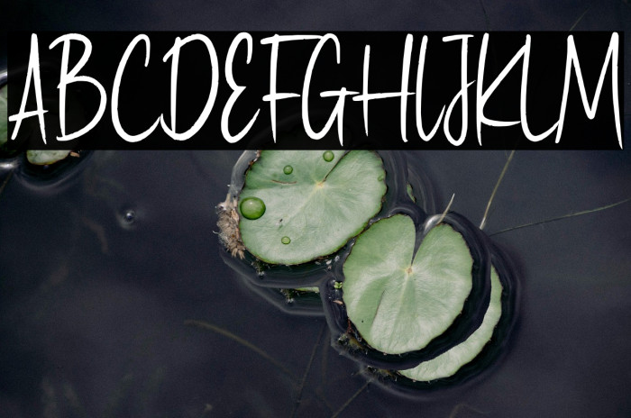 Haypearl Demo Example 3