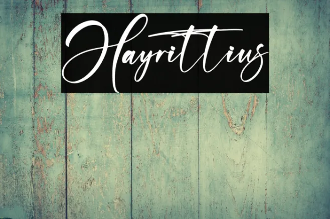 Hayrittius Example 1