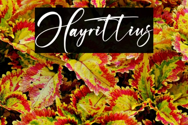 Hayrittius Example 2