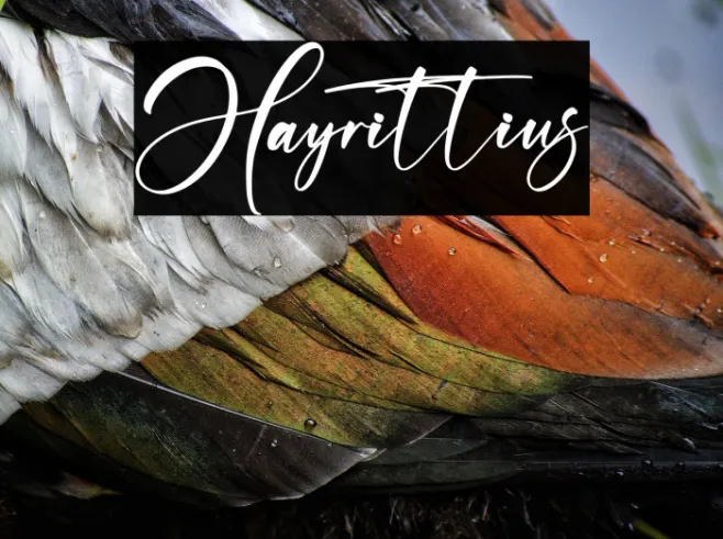 Hayrittius Example 3