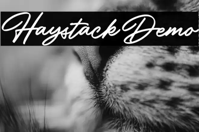 HaystackDemo Font examples