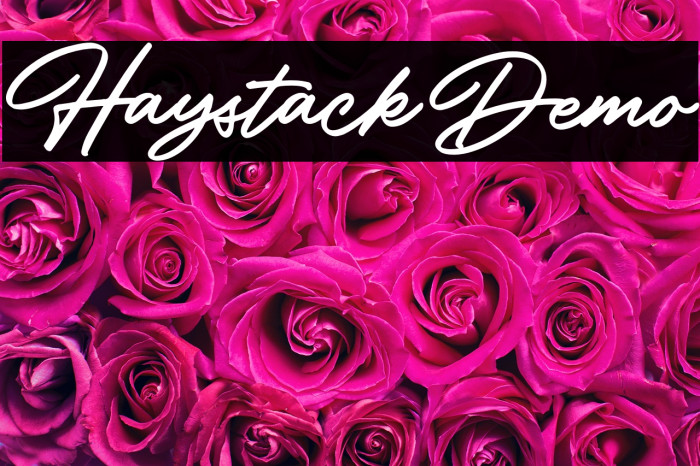 HaystackDemo Example 3