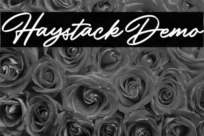 HaystackDemo Font examples