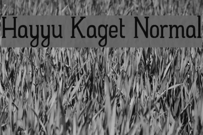 Hayyu Kaget Normal Font examples