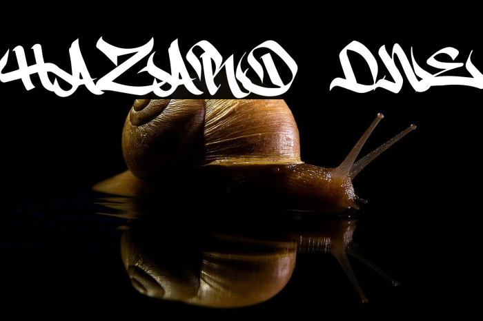 Hazard One Example 1