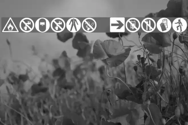 Hazard Signs Polices examples