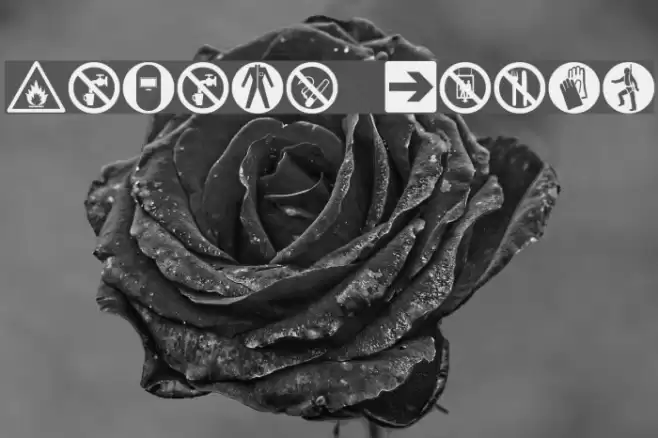 Hazard Signs Polices examples