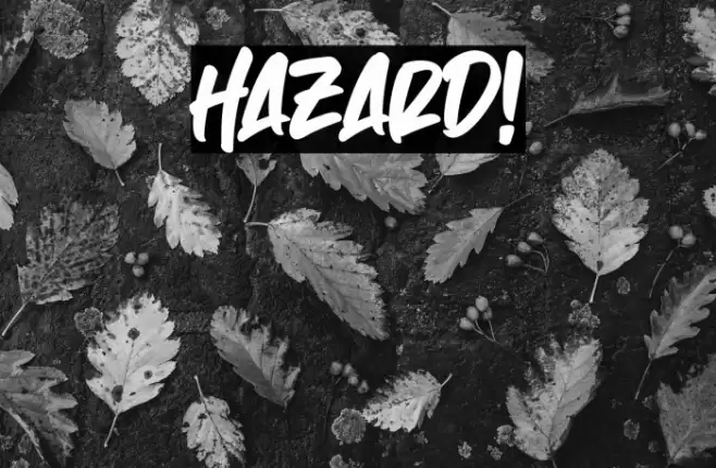 Hazard! Caratteri examples