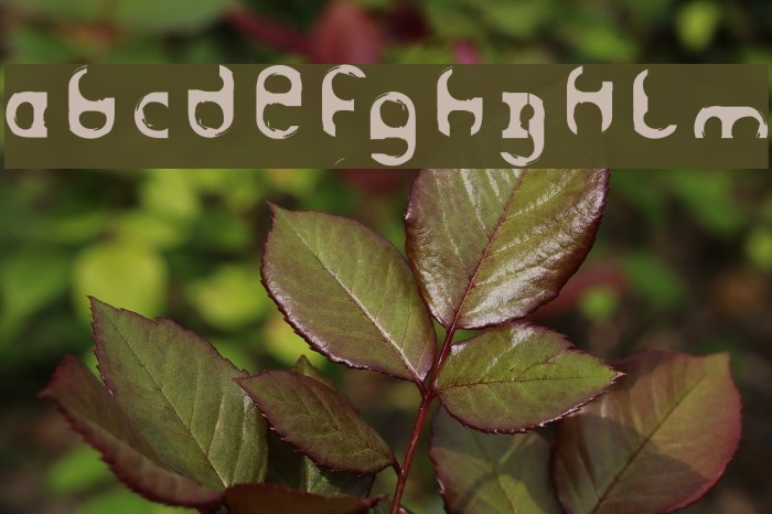 Haze Font examples