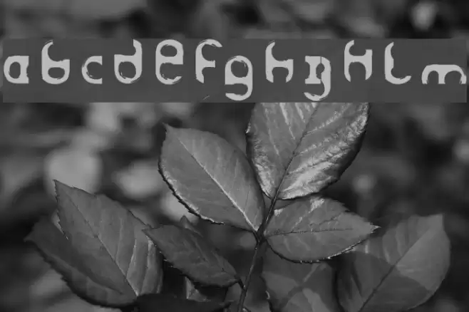 Haze Font examples