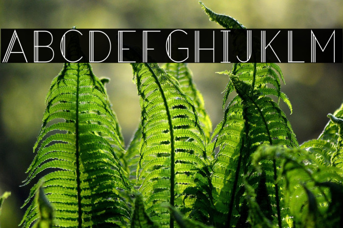 Hazel Deco Light Regular Example 3