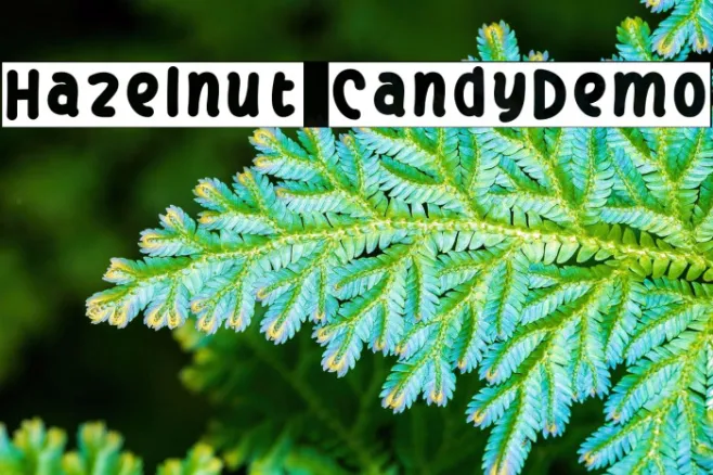 Hazelnut CandyDemo Example 3