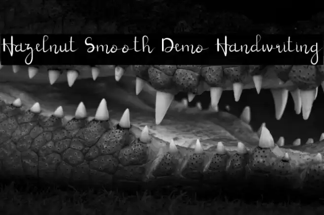 Hazelnut Smooth Demo Handwriting Font examples