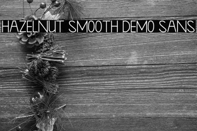 Hazelnut Smooth Demo Sans Font examples